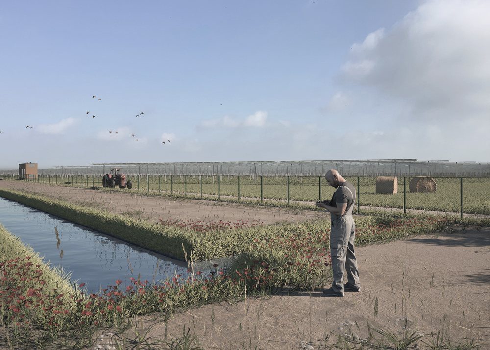 AGRIVOLTAICO — FOTOINSERIMENTO